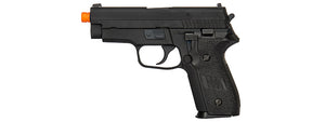 WE F005B F229 Gas Blowback Airsoft Pistol (BLACK)