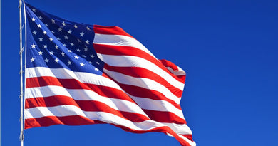 Flag 3` x 5` with grommets ( Misc Branches )